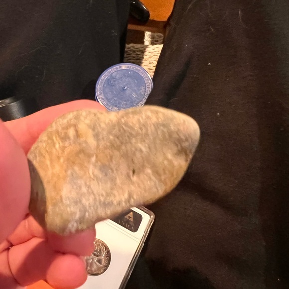 Ammonite Fossil (Authentic) - Picture 4 of 4